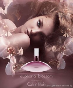 Купить духи (туалетную воду) Euphoria Blossom (Calvin Klein) 100ml women. Продажа качественной парфюмерии. Отзывы о Euphoria Blossom (Calvin Klein) 100ml women.